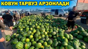КОВУН ТАРВУЗ БОЗОР НАРХЛАРИ АРЗОНЛАДИ | QOVUN TARVUZ BOZOR #tarvuz