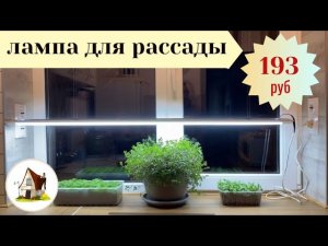 Лампа для рассады за 193 руб из Светофора