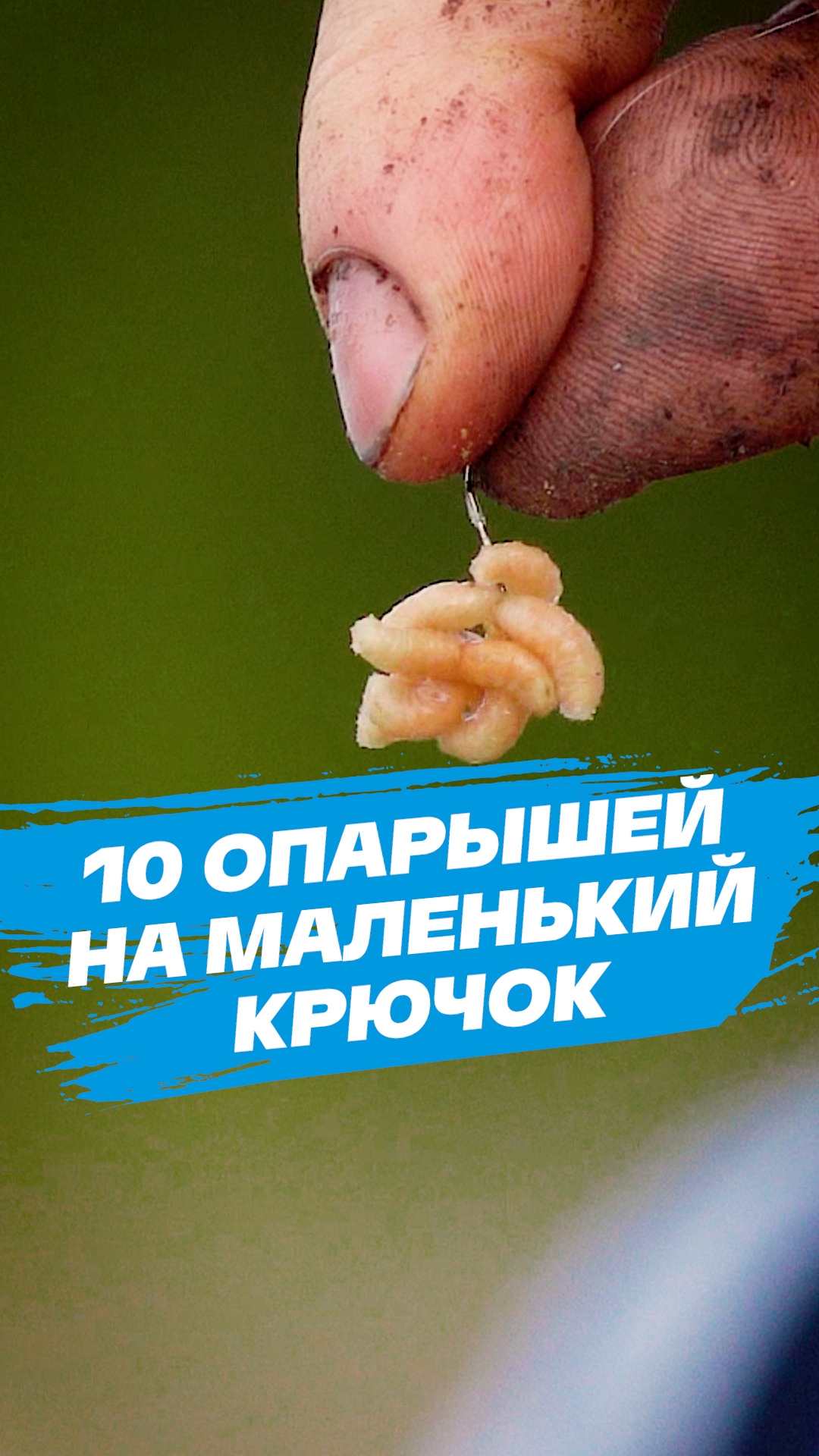 Настоящий бойл для фидера!