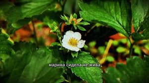 «Разбирайся сама»# Муж улетел на море, бросив меня с «лежачей» бабушкой, но она открыла глаза