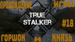 ПРОХОЖДЕНИЕ ИГРЫ TRUE STALKER ~ ГОРШОК И КНЯЗЬ  #18