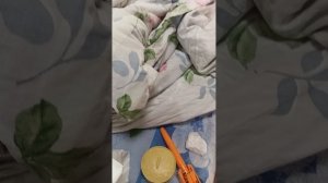 все мои дорогие вещи