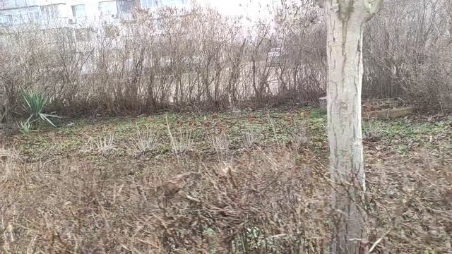 Один из дней города Евпатории | 1 февраля 2022 год | Крым ХАН БАТОН XAH 6ATOH | VID_20220201_144338