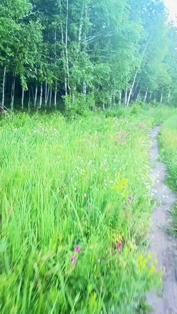 велопрогулки смотреть онлайн
