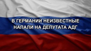 В Германии неизвестные напали на депутата АдГ