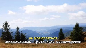 🔥 ОПЕРАЦИЯ ПО СПАСЕНИЮ 500 КОТОВ!  ШОКИРУЮЩИЕ ПОДРОБНОСТИ !