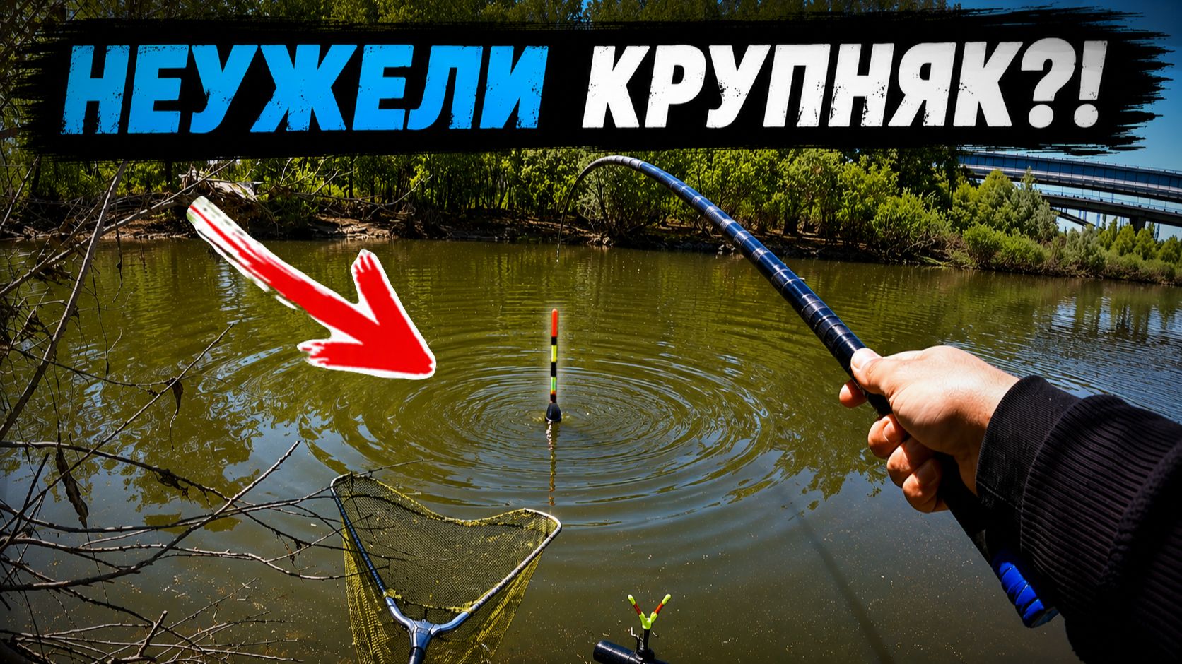 В СТАРОЙ ПРОТОКЕ КЛЮЁТ СРАЗУ! Закормил сладким и ОНИ ВЫШЛИ! Рыбалка 2026