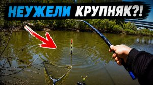 В СТАРОЙ ПРОТОКЕ КЛЮЁТ СРАЗУ! Закормил сладким и ОНИ ВЫШЛИ! Рыбалка 2026