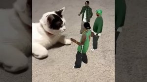 GTA +Cat ۞