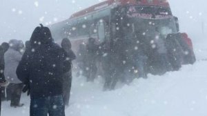 Воркутинский снег Юрий Алмазов