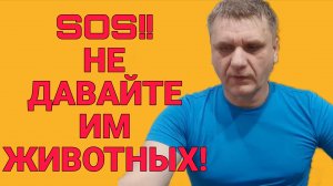 SOS!!! НЕ ДАВАЙТЕ ИМ ЖИВОТНЫХ. 7-Я КОЛЕСНИКОВЫ. ОБЗОР.