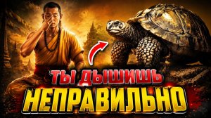 51. Дыши как черепаха и измени реальность навсегда | За Гранью Кода