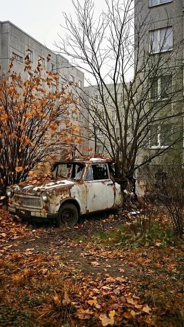 Трабант