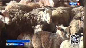 Стартовал дополнительный прием заявок на три грантовых конкурса по развитию малого агробизнеса