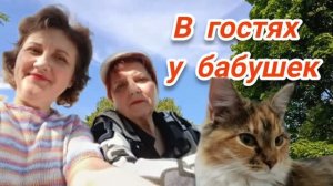 19.06.2026 В гостях у бабушек. Продолжаем борьбу с нашествием.