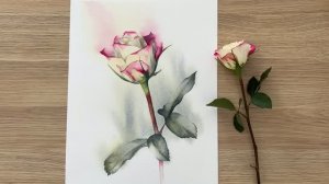 Совершенствуйте свою цветовую палитру. Подбираем цвета и рисуем розу