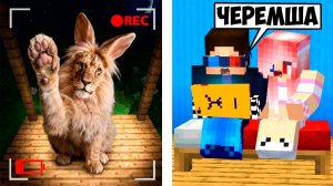 🦁ЧЕРЕМША СМОТРИТ В КАМЕРУ НЕ СПЕША В МАЙНКРАФТ! ШЕДИ MINECRAFT