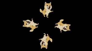 Щенок дог-коин