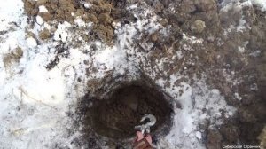 Долго его откапывали. Рыбалка в Сибири. Глухозимье близко.