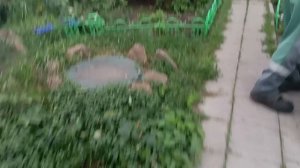 1000005174.mp4