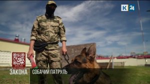 Псы Симон и Стен заступили на службу ОМОН Росгвардии на Кубани