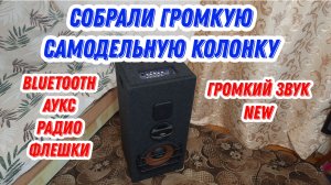 Собрали громкую активную самодельную колонку. Для пати и вечеринок. Макс громкость New