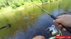 Вспоминая сезон 2025🎣 #Рыбалка #Карелия #РыбалкавКарелии #Спиннинг #Щука