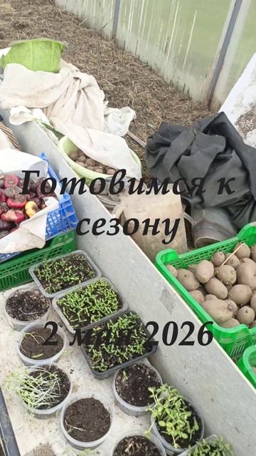 02 мая 2026