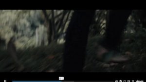 SVID_20260618_223926_1.mp4