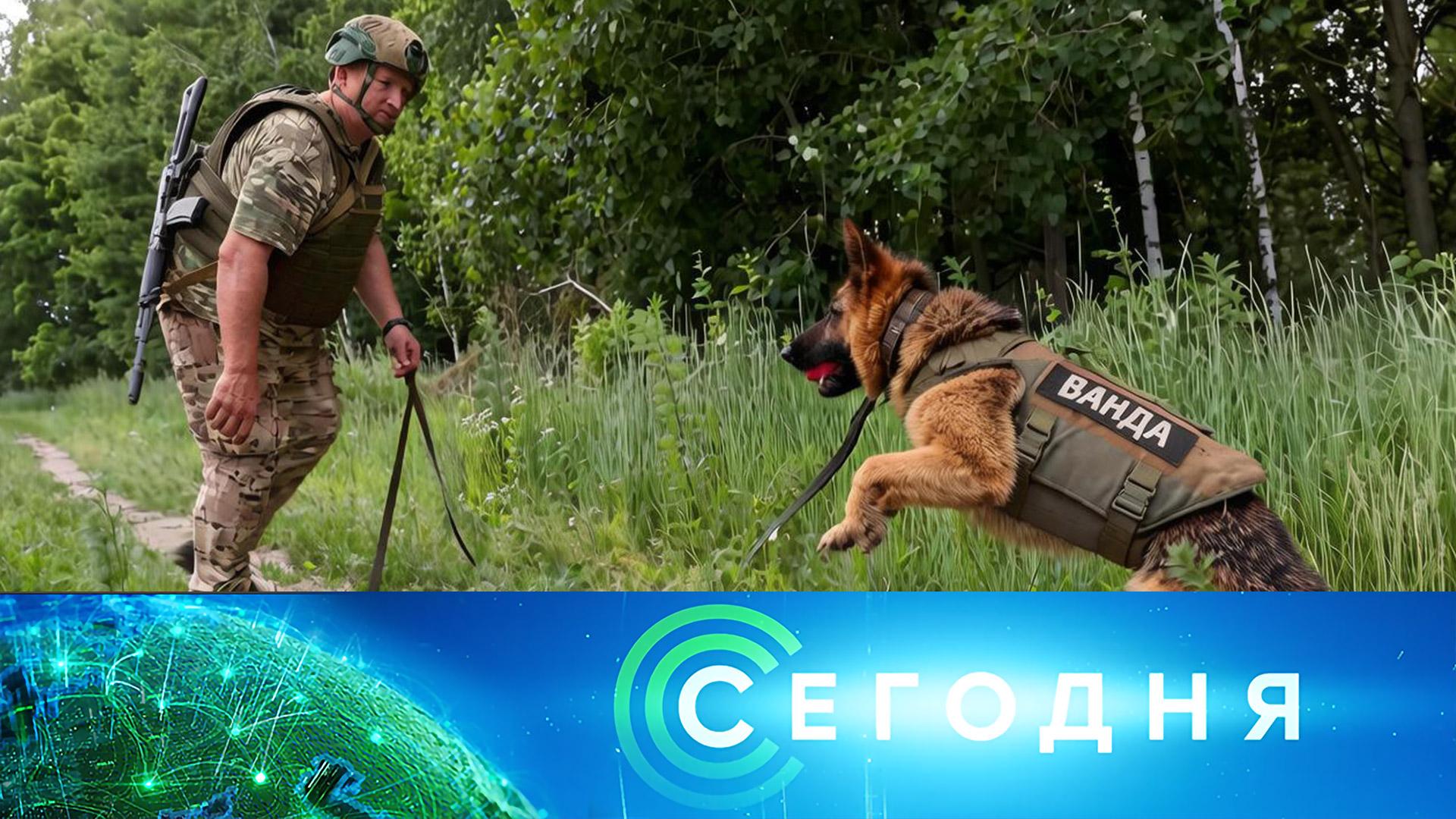 «Сегодня»: 19 июня 2026 года. 19:00 | Выпуск новостей | Новости НТВ смотреть онлайн