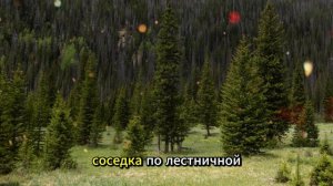 Истории из жизни | Аудио рассказы | Соседка с пятого этажа умерла одинокой. А  | Жизненные истории