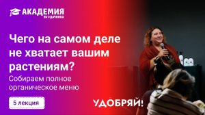 Чего на самом деле не хватает вашим растениям? Собираем полное  органическое меню