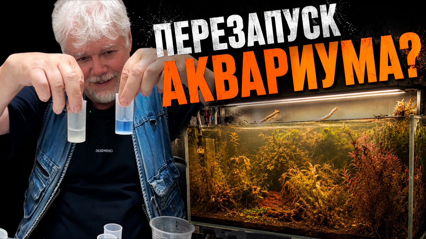 Надо ли перезапускать аквариум? | Аквариумные истории из ЭКЗОМЕНЮ №177 смотреть онлайн