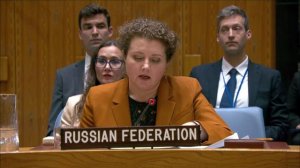 Выступление А.М.Евстигнеевой в СБ ООН по гуманитарной ситуации в cекторе Газа