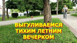 115.Куда они разбежались/Рацвели лилии / Сверлим дальше / Гуляем по парку