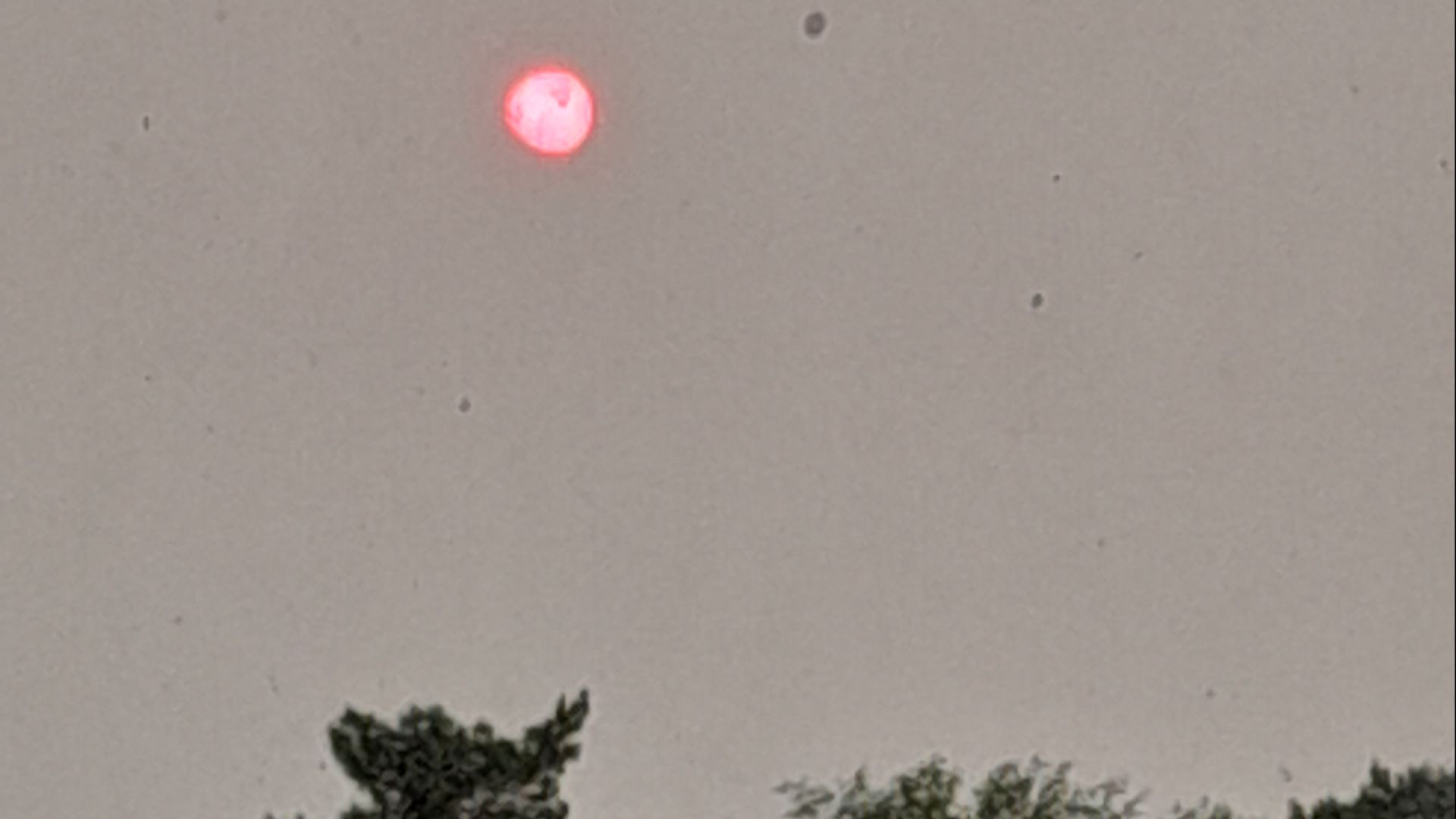 20260617_063720 Странный малиновый рассвет