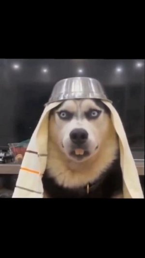 У арабов свой подход ко всему ☝️