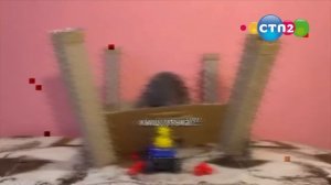 kotiynet_anomaly2026