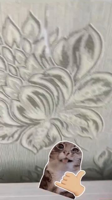 разоблачение на видео смотреть онлайн