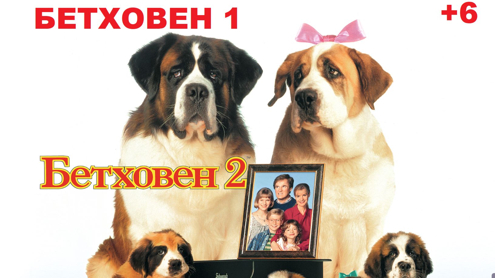 Бетховен 1 и 2 (Фильм) Обзор