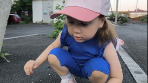Время собирать камни