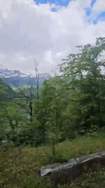 экскурсия на альпийские луга смотреть онлайн