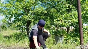 Сажаю картошку, дачные дела