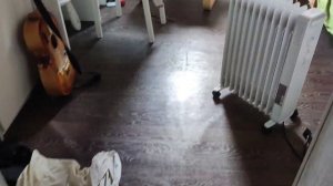 Дачный сезон #234 полы в комнате)