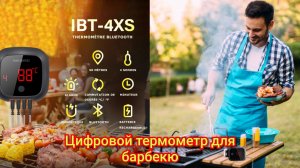 Цифровой термометр для барбекю INKBIRD IBT-4XS