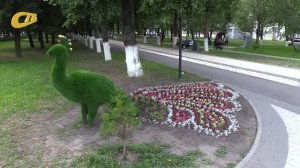 ЯРКИЕ ЦВЕТОЧНЫЕ КЛУМБЫ И ЗЕЛЕНЫЕ КОМПОЗИЦИИ УКРАШАЮТ УЛИЦЫ ЖЕЛЕЗНОГОРСКА
