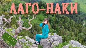 ПЛАТО ЛАГО-НАКИ В АДЫГЕЕ