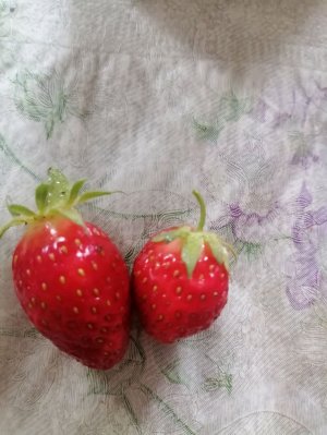 Не знаю чо писать