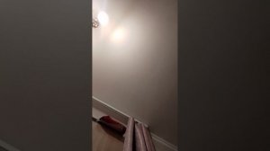разоблачаем песню
