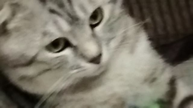 54.mp4 смотреть онлайн